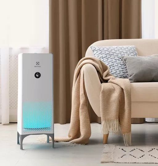 Electrolux EAP-2050D