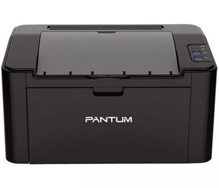 Pantum P2516