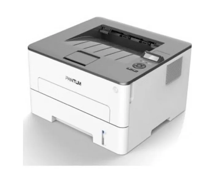PANTUM P3010DW