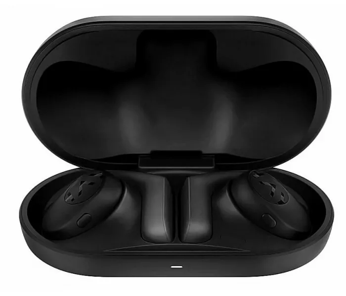 Xiaomi Haylou PurFree Buds OW01 (black)